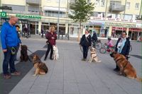 Herrchen und Frauchen mit Hunde bei einem Aufbaukurs im Landkreisen Fürstenfeldbruck an der Hundeschule Amperland